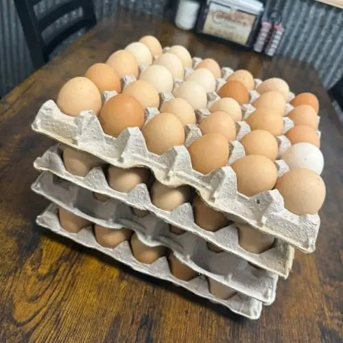 Fresh Eggs Breakfast at Carmen's Diner in Bremen, IN